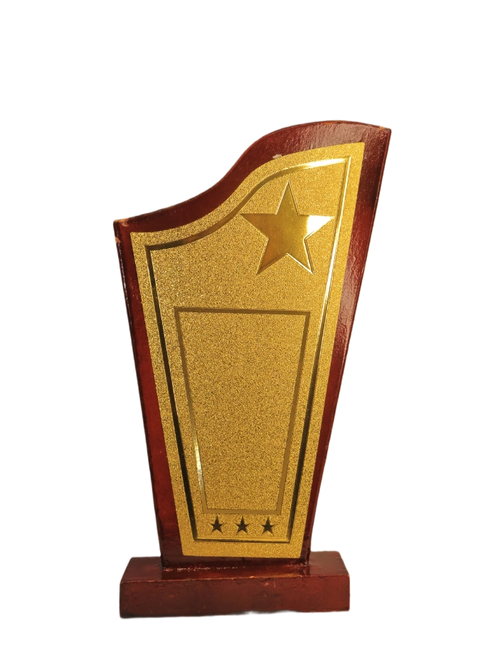 Modern Star Trophy Plaque — Gold Faceplate, Custom Engraving (2)